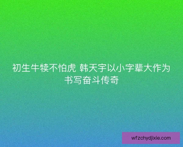 初生牛犊不怕虎 韩天宇以小字辈大作为书写奋斗传奇