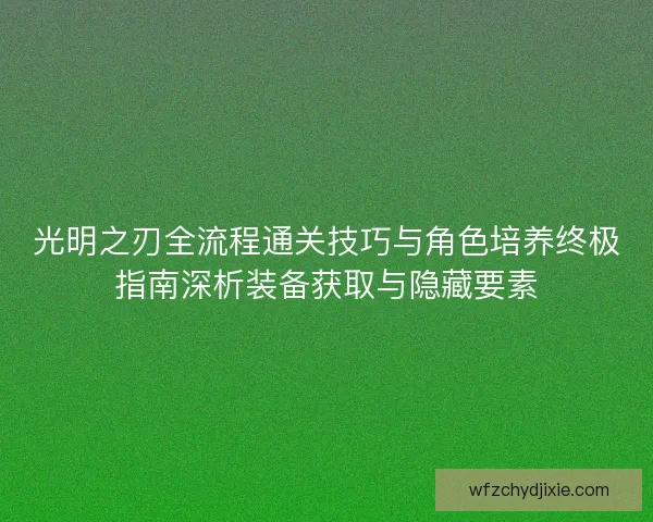 光明之刃全流程通关技巧与角色培养终极指南深析装备获取与隐藏要素