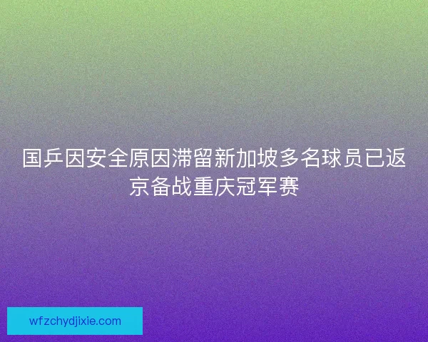 国乒因安全原因滞留新加坡多名球员已返京备战重庆冠军赛