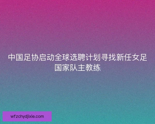 中国足协启动全球选聘计划寻找新任女足国家队主教练